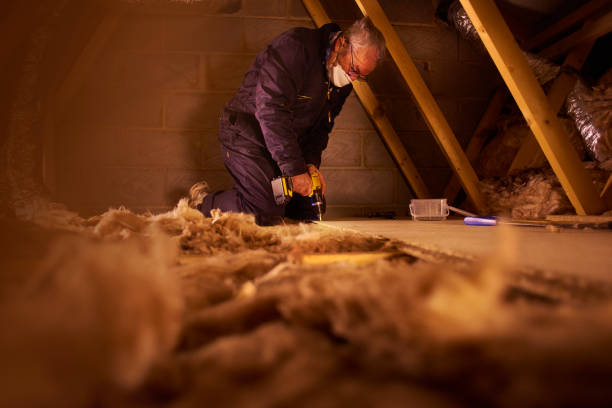 Eco-Friendly or Green Insulation Solutions in Elwood, IL